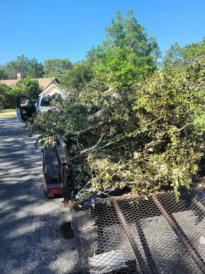 Yard Waste Removal in Lady Lake, Lake County, FL